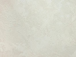 山克拉SaKuRa 壁紙  71243