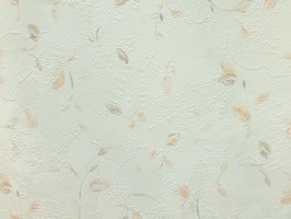 山克拉SaKuRa 壁紙  71268