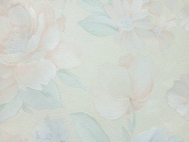 山克拉SaKuRa 壁紙  71271