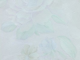 山克拉SaKuRa 壁紙  71272