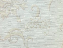 山克拉SaKuRa 壁紙  71434