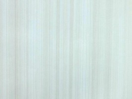 山克拉SaKuRa 壁紙  71484