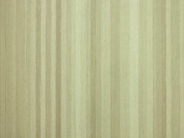 山克拉SaKuRa 壁紙  71486