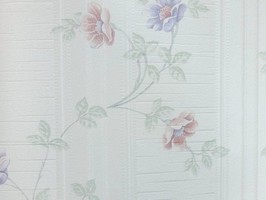 山克拉SaKuRa 壁紙  71500
