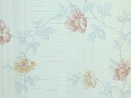 山克拉SaKuRa 壁紙  71501