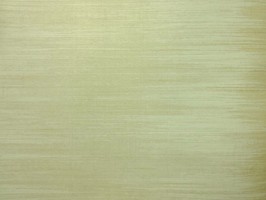 SALINA 壁紙  SA 50707