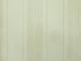 SALINA 壁紙  SA 51307