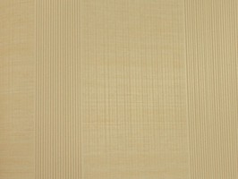 VIRGINIA 維吉尼亞 壁紙 2H3004