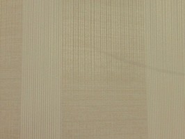 VIRGINIA 維吉尼亞 壁紙 2H3005