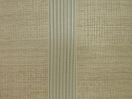 VIRGINIA 維吉尼亞 壁紙 2H3008