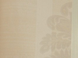 VIRGINIA 維吉尼亞 壁紙 2H3203