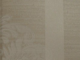 VIRGINIA 維吉尼亞 壁紙 2H3205