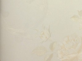 VIRGINIA 維吉尼亞 壁紙 2H3301