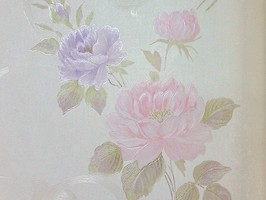 VIRGINIA 維吉尼亞 壁紙  2H3302