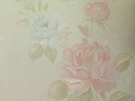 VIRGINIA 維吉尼亞 壁紙  2H3305