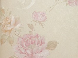 VIRGINIA 維吉尼亞 壁紙  2H3306
