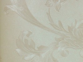 VIRGINIA 維吉尼亞 壁紙  2H3501