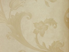 VIRGINIA 維吉尼亞 壁紙  2H3505