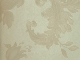 VIRGINIA 維吉尼亞 壁紙  2H3506