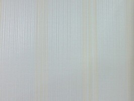 VIRGINIA 維吉尼亞 壁紙  2H3901