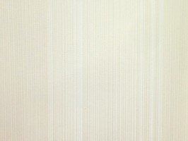 VIRGINIA 維吉尼亞 壁紙  NA5001