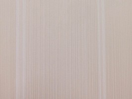 VIRGINIA 維吉尼亞 壁紙  NA5003