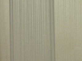 VIRGINIA 維吉尼亞 壁紙  NA5004