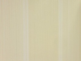 VIRGINIA 維吉尼亞 壁紙  NA5005