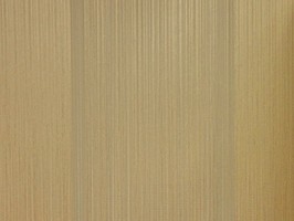 VIRGINIA 維吉尼亞 壁紙  NA5010