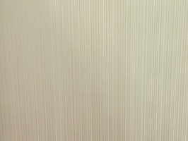VIRGINIA 維吉尼亞 壁紙  NA5011