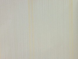 VIRGINIA 維吉尼亞 壁紙  NA5012