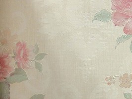 VIRGINIA 維吉尼亞 壁紙  NA5105