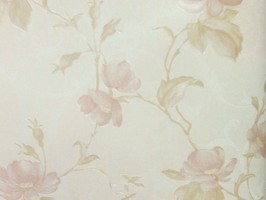 VIRGINIA 維吉尼亞 壁紙  NA5401
