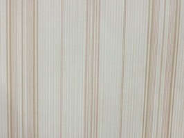 VIRGINIA 維吉尼亞 壁紙  NA5801