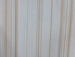VIRGINIA 維吉尼亞 壁紙  NA5803
