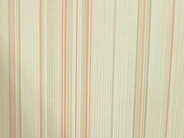 VIRGINIA 維吉尼亞 壁紙  NA5804