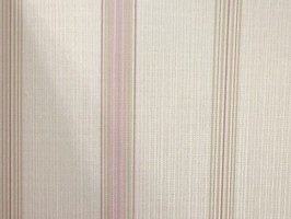 VIRGINIA 維吉尼亞 壁紙  NA5904