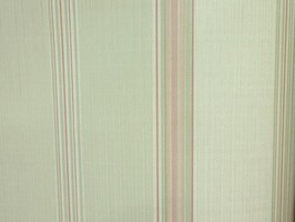 VIRGINIA 維吉尼亞 壁紙  NA5905