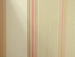 VIRGINIA 維吉尼亞 壁紙  NA5906