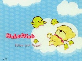 雅朵E彩捲簾  210