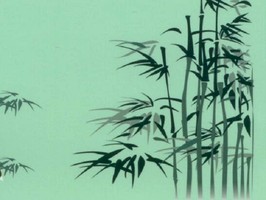 雅朵E彩捲簾  218-4