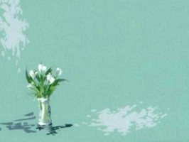 雅朵E彩捲簾  218-10