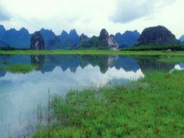 雅朵E彩捲簾  229