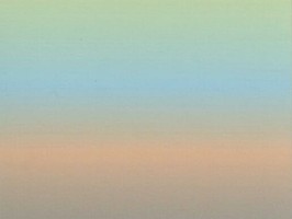 雅朵E彩捲簾  261-14