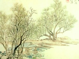 雅朵E彩捲簾  300