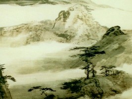 雅朵E彩捲簾  308