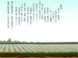 雅朵E彩捲簾  309