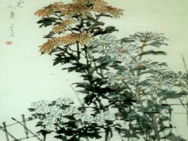 雅朵E彩捲簾  311