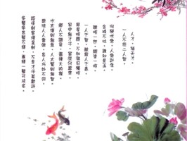 雅朵E彩捲簾  315