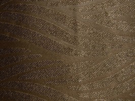 顏素2  120麻繩紋系列-1040-48